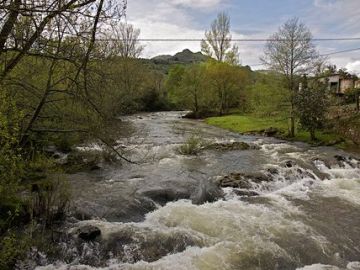Imagen del río Miera Imagen del río Miera