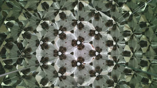 Una de las ilusiones ópticas que ofrece el Museo de las Ilusiones de Dubái Una de las ilusiones ópticas que ofrece el Museo de las Ilusiones de Dubái