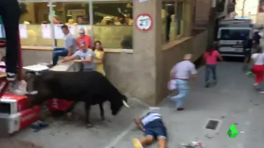 Una vaquilla se escapa de la plaza de toros de Mallén, Zaragoza Una vaquilla se escapa de la plaza de toros de Mallén, Zaragoza