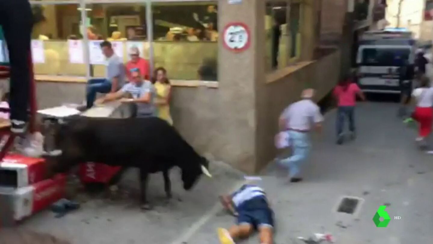 Una vaquilla se escapa de la plaza de toros de Mall&eacute;n, Zaragoza