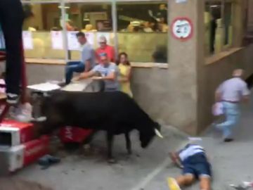 Una vaquilla se escapa de la plaza de toros de Mallén, Zaragoza Una vaquilla se escapa de la plaza de toros de Mallén, Zaragoza