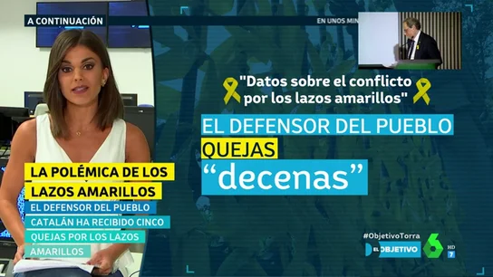 La dimensión del conflicto de los lazos amarillos varía en función de la institución: el Defensor del Pueblo catalán recoge cinco quejas y el estatal apunta a decenas La dimensión del conflicto de los lazos amarillos varía en función de la institución: el Defensor del Pueblo catalán recoge cinco quejas y el estatal apunta a decenas