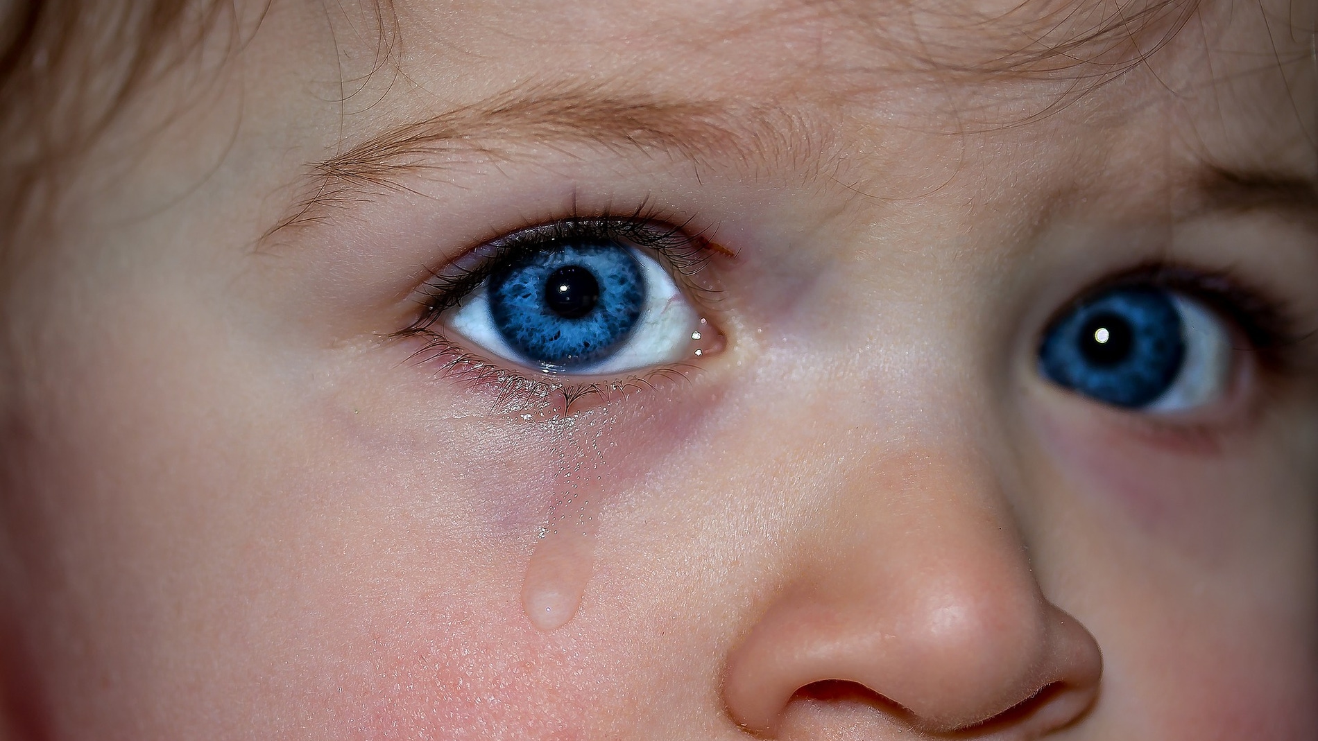 El OjoGel cambia de color al entrar en contacto con la lágrima 