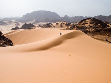 El Sáhara podría cambiar mucho su aspecto con placas solares y vegetación 