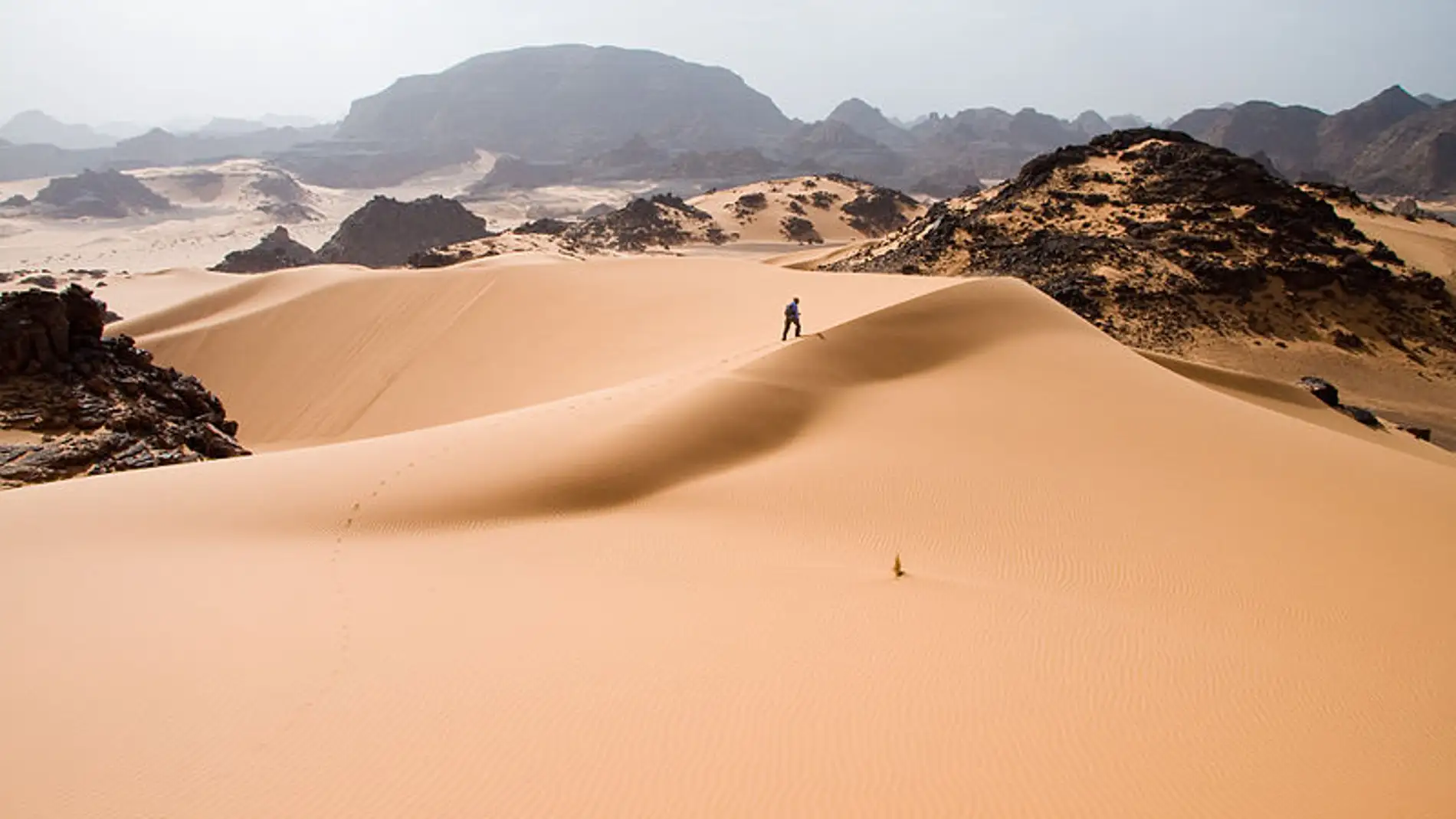 El Sáhara podría cambiar mucho su aspecto con placas solares y vegetación 
