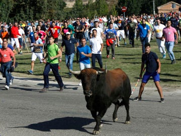 Imagen del festejo del Toro de la Vega, en Tordesillas Imagen del festejo del Toro de la Vega, en Tordesillas