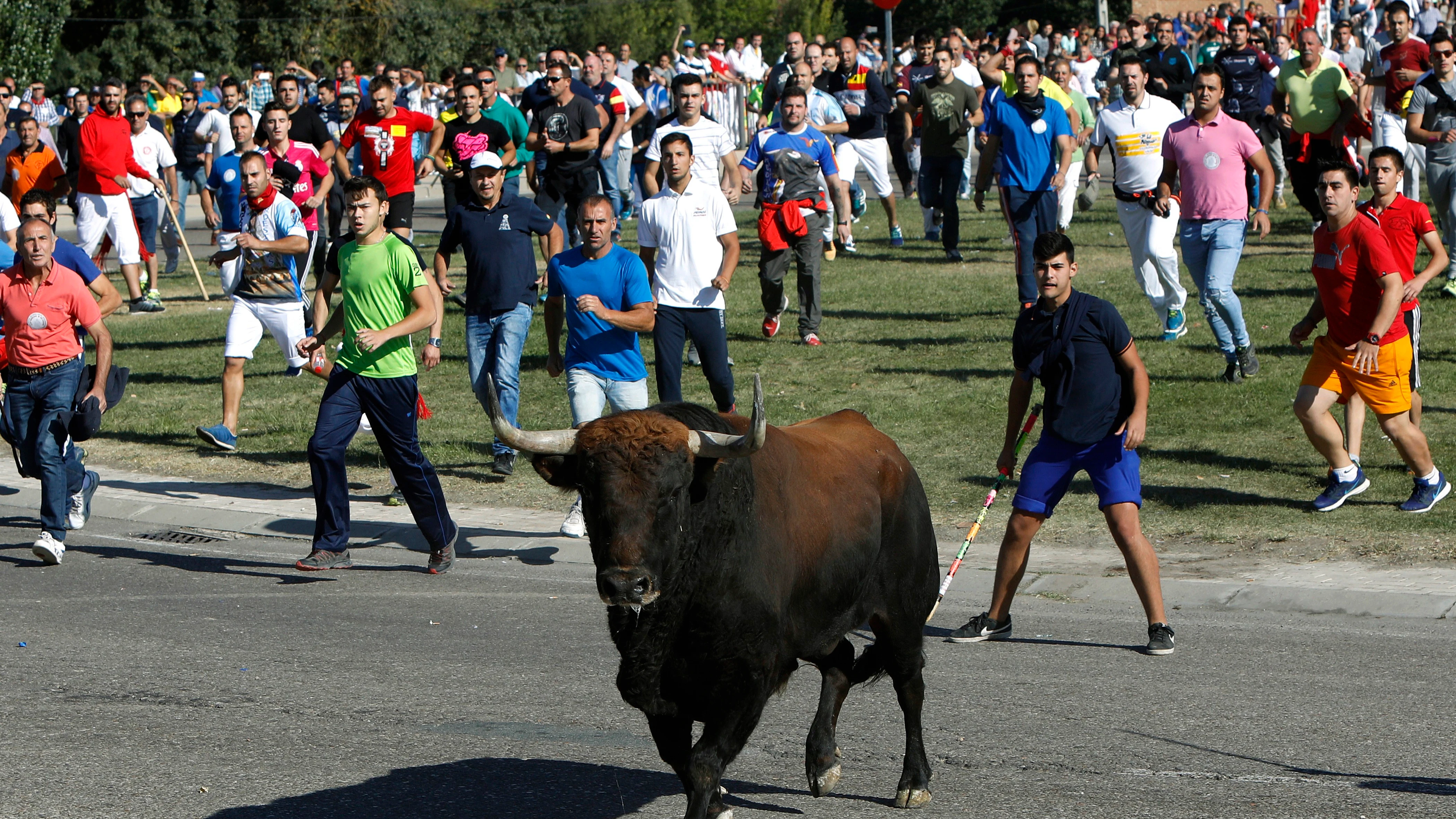 Imagen del festejo del Toro de la Vega, en Tordesillas