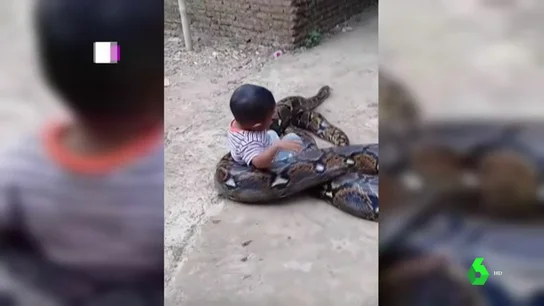 Un niño juega con una pitón en Indonesia Un niño juega con una pitón en Indonesia