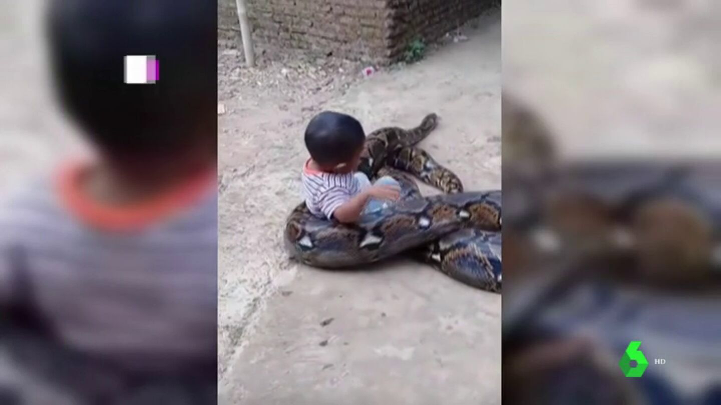 Un ni&ntilde;o juega con una pit&oacute;n en Indonesia