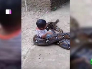 Un niño juega con una pitón en Indonesia Un niño juega con una pitón en Indonesia