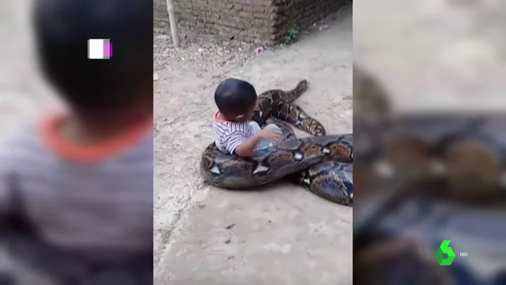 Un niño juega con una pitón en Indonesia