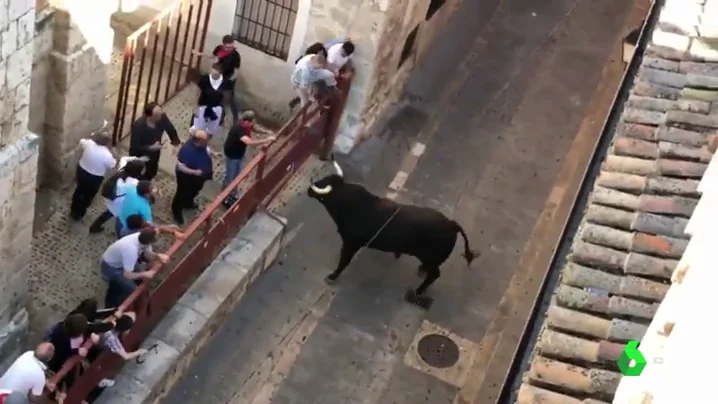 Toro de la Vega de Tordesillas 2018