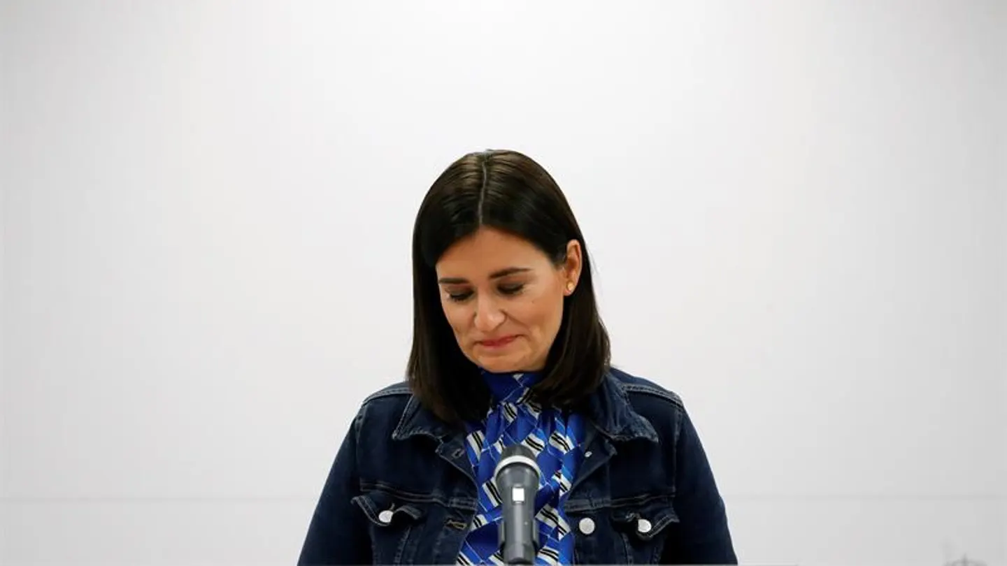 La ministra de Sanidad, Carmen Montón La ministra de Sanidad, Carmen Montón