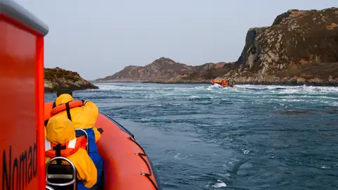 Sea Safari. Escocia Escocia en 8 actividades