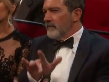 Las palmas de Antonio Banderas y otras maneras de quedarse con el mundo entero Las palmas de Antonio Banderas y otras maneras de quedarse con el mundo entero