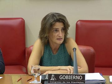 El Gobierno anuncia que suspenderá el impuesto del 7% de generación de electricidad para intentar que baje el recibo de la luz El Gobierno anuncia que suspenderá el impuesto del 7% de generación de electricidad para intentar que baje el recibo de la luz