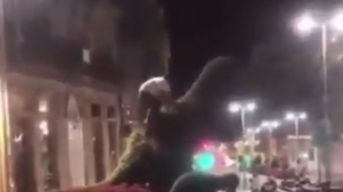 Gamberro subido al 'Dinoseti&ntilde;o'