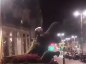 Gamberro subido al 'Dinosetiño' Gamberro subido al 'Dinosetiño'