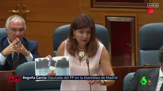 Diputada del PP de la Comunidad de Madrid Diputada del PP de la Comunidad de Madrid