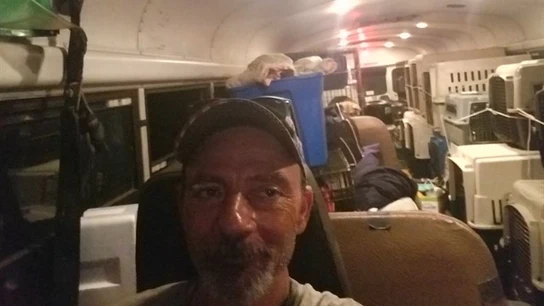 Tony Alsup en el autobús con todas las mascotas Tony Alsup en el autobús con todas las mascotas