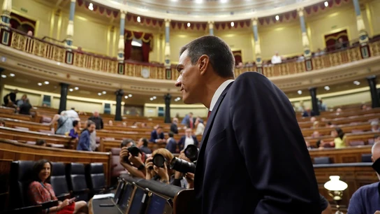Pedro Sánchez en el Congreso en una imagen de archivo Pedro Sánchez en el Congreso en una imagen de archivo