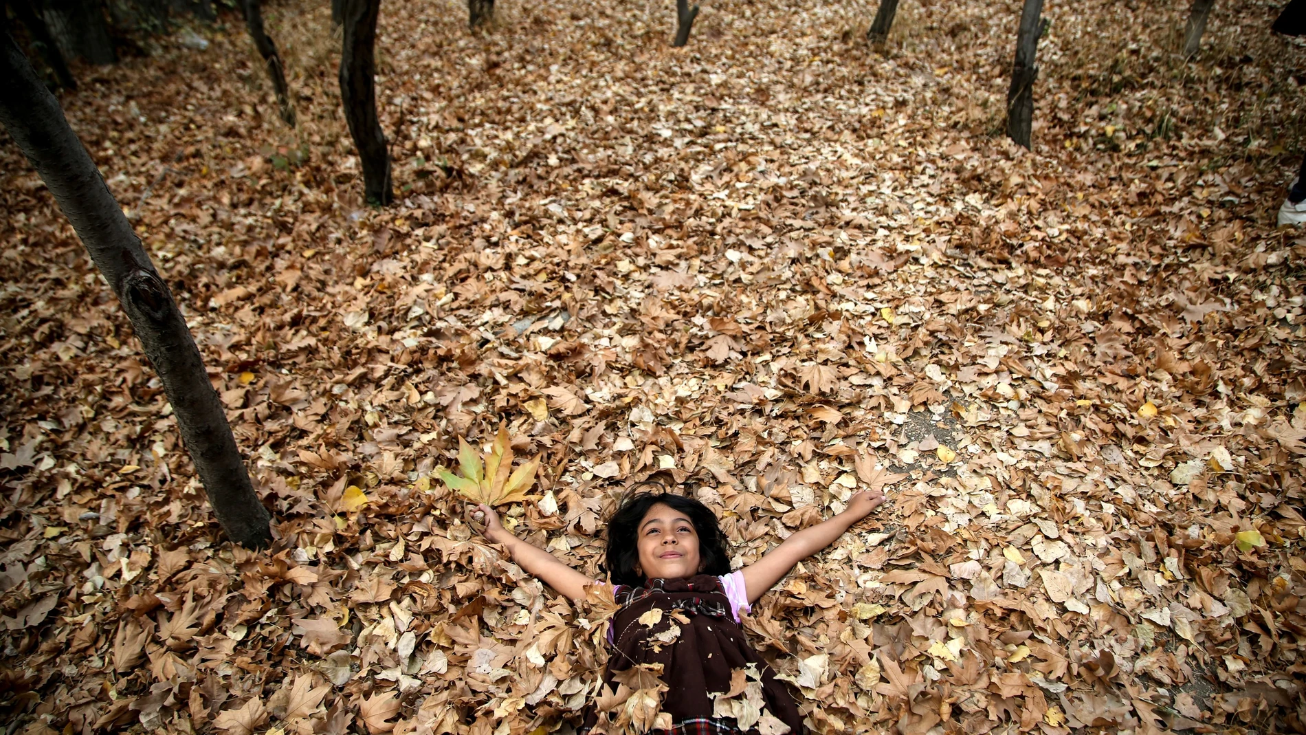 Imagen de archivo de una joven tumbada sobre las hojas caídas del otoño