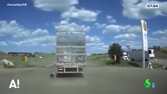 Momentos antes de que el conductor fuera alertado Momentos antes de que el conductor fuera alertado