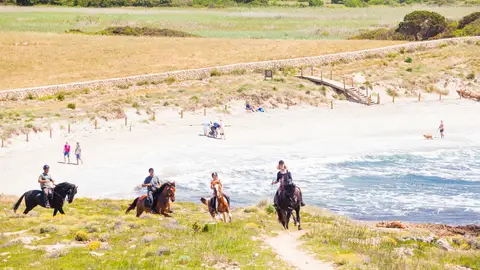 Camí de Cavalls Itinerarios para descubrir Menorca…a caballo
