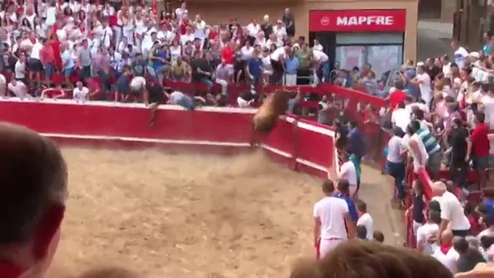 Un toro escapa de la plaza de Villafranca sembrando el pánico durante sus fiestas patronales Un toro escapa de la plaza de Villafranca sembrando el pánico durante sus fiestas patronales