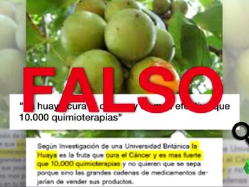 Bulos sanitarios Bulos sanitarios