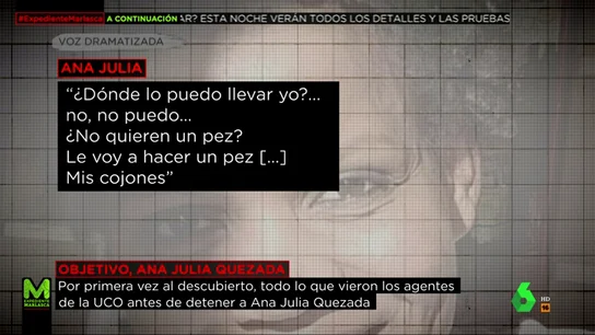 Las grabaciones a Ana Julia Quezada cuando trasladaba a Gabriel: "¿No quieren un pez? Les voy a hacer un pez... mis cojones" Las grabaciones a Ana Julia Quezada cuando trasladaba a Gabriel: "¿No quieren un pez? Les voy a hacer un pez... mis cojones"