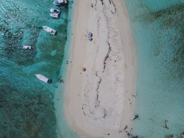 El islote puertorriqueño de Palominito, a punto de desaparecer por el cambio climático El islote puertorriqueño de Palominito, a punto de desaparecer por el cambio climático