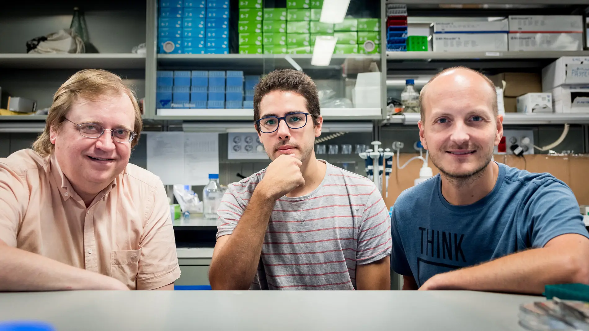 La expansion de celulas tumorales desafia la fisica actual