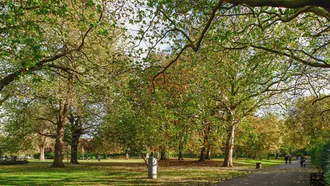 St Stephens Green Descubre el Dublín de U2