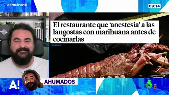 El Sevilla, de la marihuana con los animales El Sevilla, de la marihuana con los animales