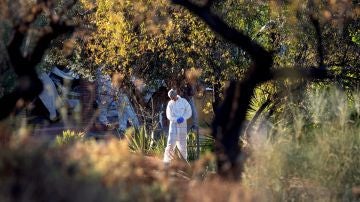 Lugar en Coín en el que han encontrado tres cadáveres en estado de descomposición 