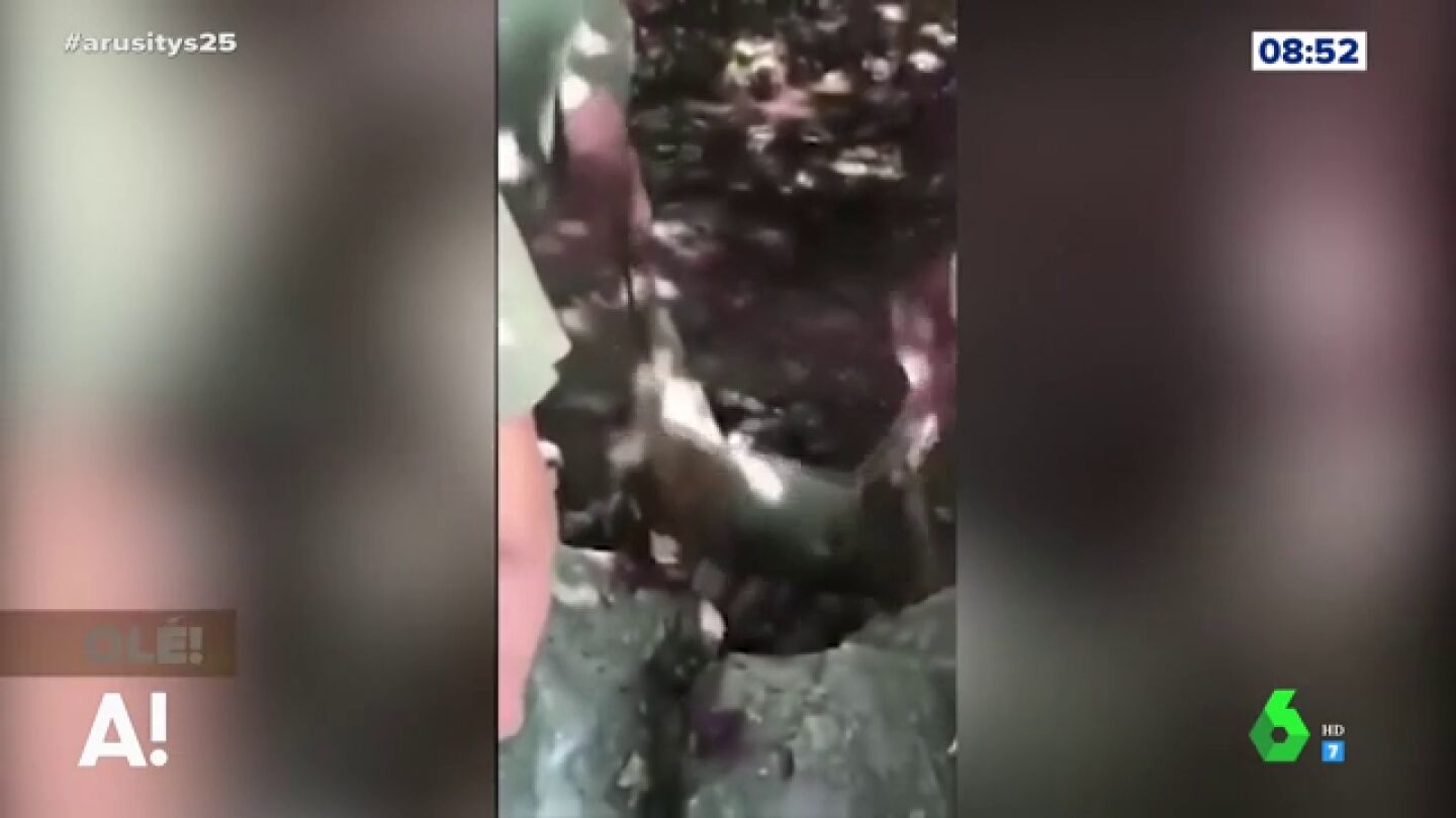 Las indignantes im&aacute;genes de unos cazadores lanzando animales muertos a un r&iacute;o en Asturias 