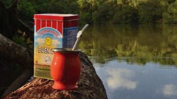 Yerba mate
