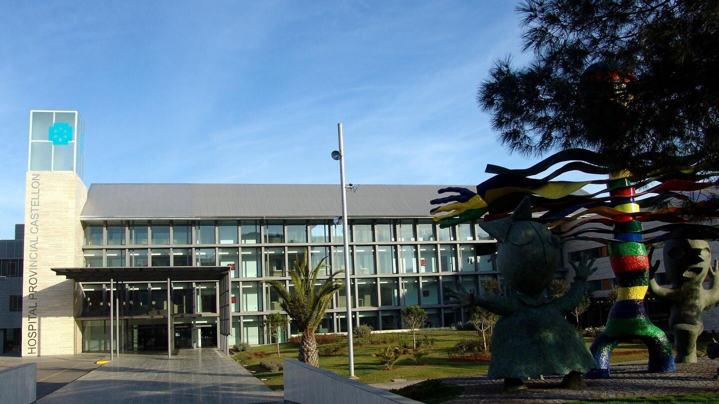 Hospital Provincial de Castell&oacute;n.