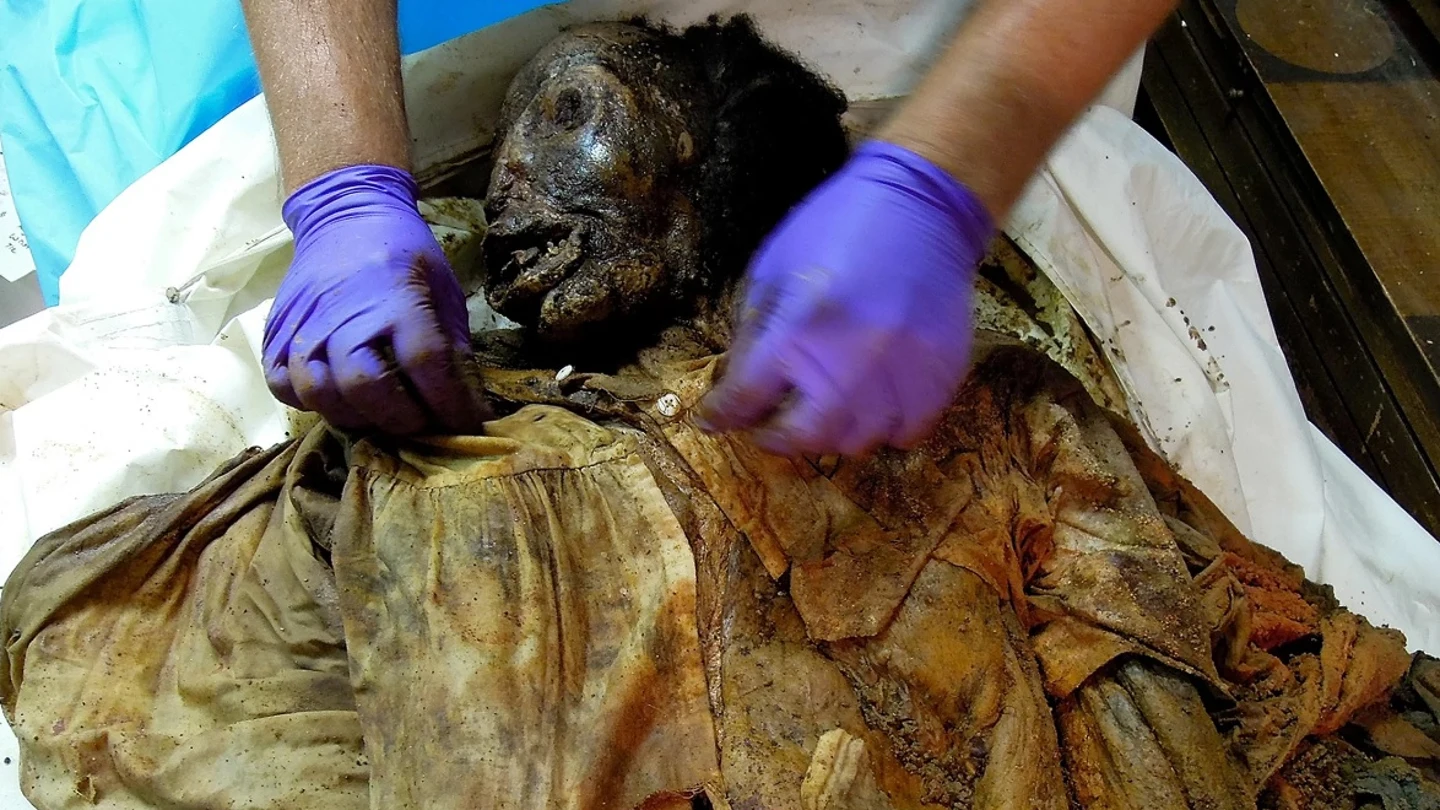 Momia del siglo XIX encontrada en 2011 en Nueva York Rostro de mujer que murió en el siglo XIX y que fue encontrada en 2011 Nueva York