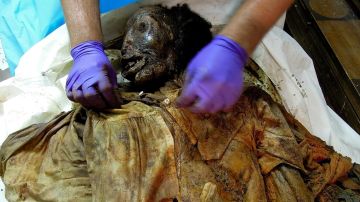Momia del siglo XIX encontrada en 2011 en Nueva York