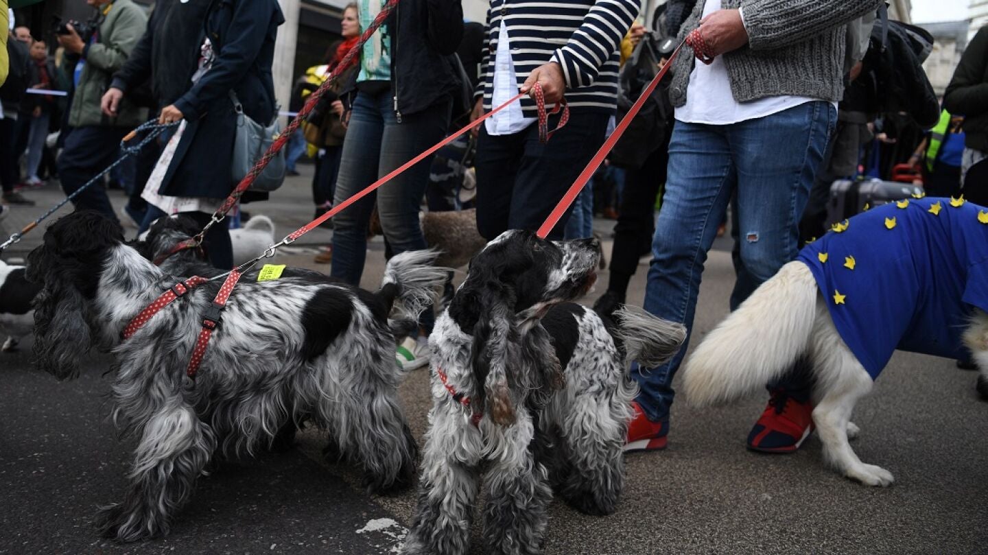 Manifestaci&oacute;n contra el Brexit con centenares de personas y sus perros