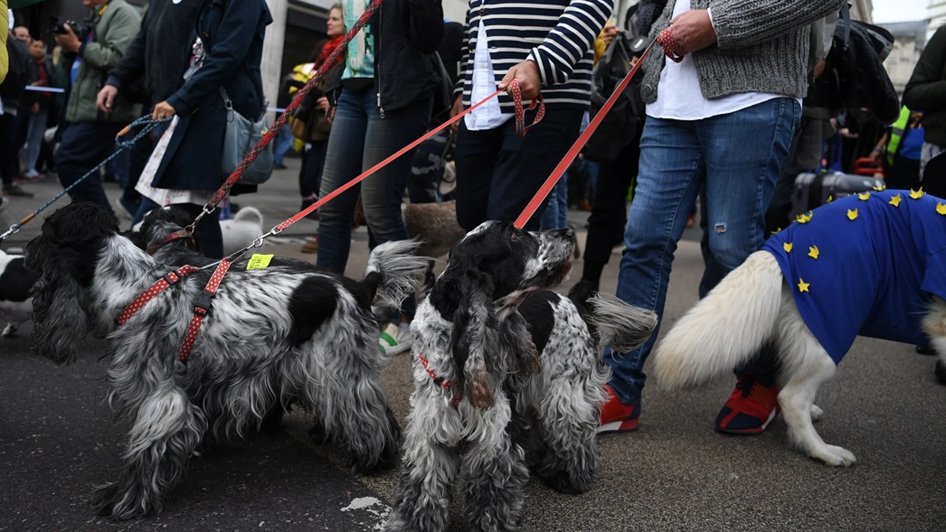 Manifestación contra el Brexit con centenares de personas y sus perros