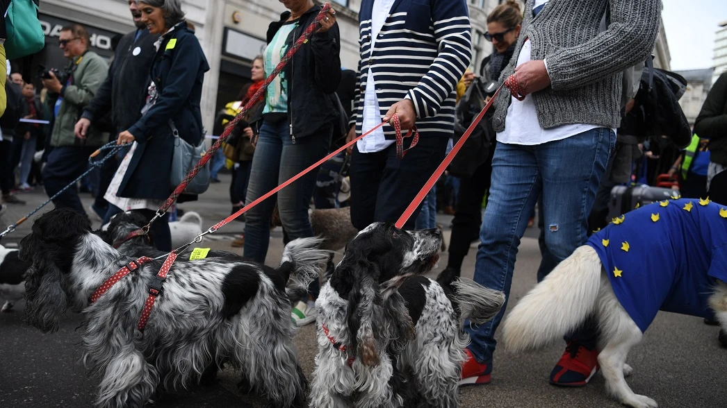 Manifestación contra el Brexit con centenares de personas y sus perros