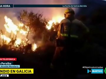 La teniente de alcalde de Mondariz, del incendio en Pontevedra: "No ha habido medios aéreos suficientes" La teniente de alcalde de Mondariz, del incendio en Pontevedra: "No ha habido medios aéreos suficientes"