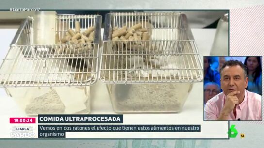Los alimentos ultraprocesados, tan adictivos como la droga: as&iacute; se comportan dos ratones seg&uacute;n su ingesta de glucosa