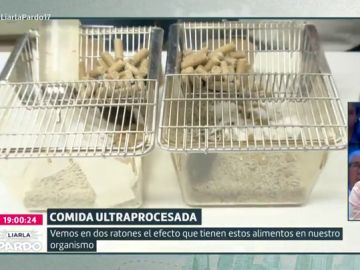 Los alimentos ultraprocesados, tan adictivos como la droga: así se comportan dos ratones según su ingesta de glucosa Los alimentos ultraprocesados, tan adictivos como la droga: así se comportan dos ratones según su ingesta de glucosa