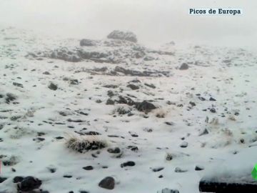 Caen las primeras nevadas Caen las primeras nevadas