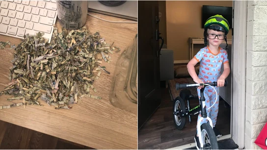 El niño y los billetes triturados El niño y los billetes triturados