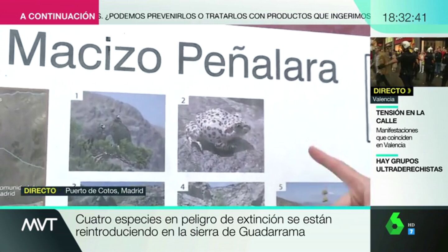 La Sierra de Guadarrama acoge a cuatro especies protegidas: &iquest;C&oacute;mo afecta la meteorolog&iacute;a a estos animales?